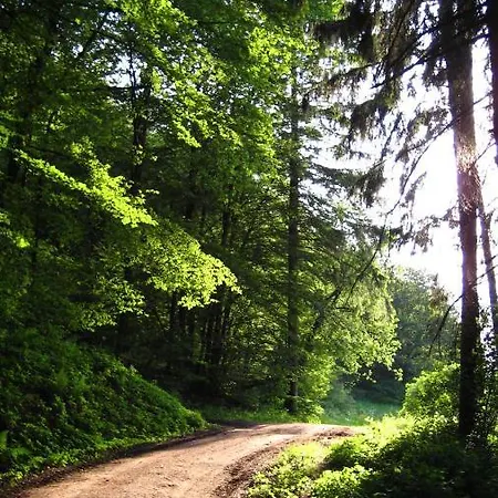 Daire Gaestezimmer Waldblick
