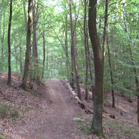 公寓 Gaestezimmer Waldblick Wimbach