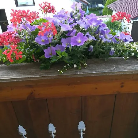 Gaestezimmer Waldblick *