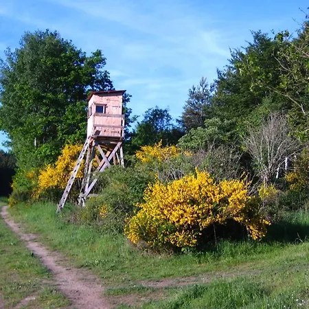Gaestezimmer Waldblick *