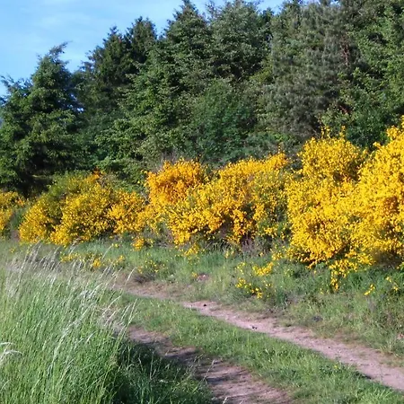 Gaestezimmer Waldblick Wimbach