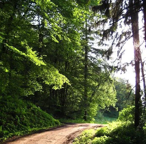 Lejlighed Gaestezimmer Waldblick