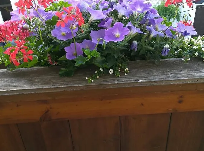 Gaestezimmer Waldblick *