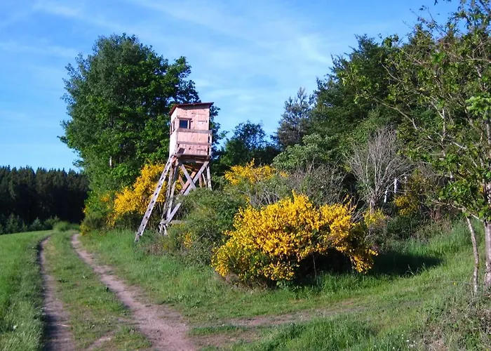 Gaestezimmer Waldblick *