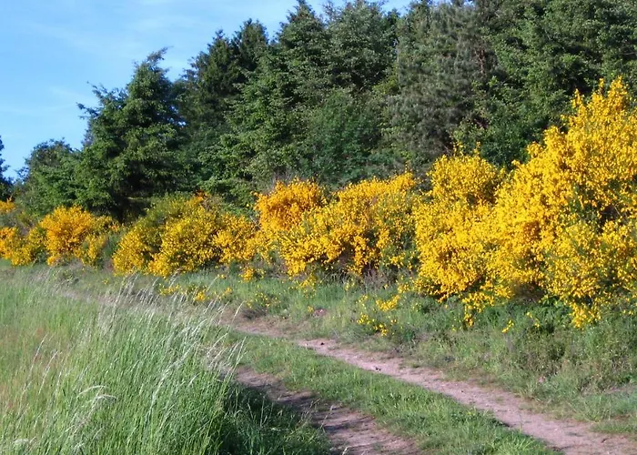 Gaestezimmer Waldblick Wimbach