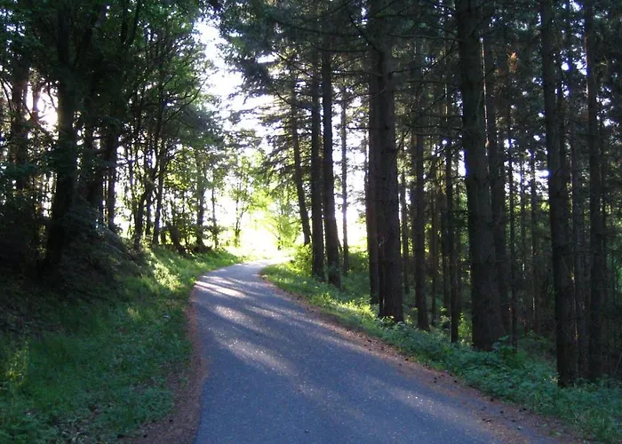 Gaestezimmer Waldblick Lejlighed